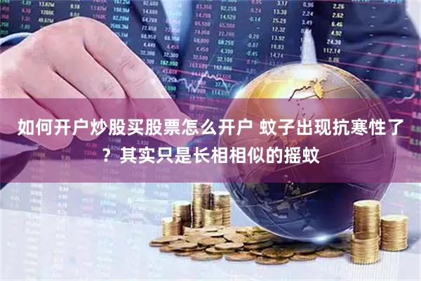 如何开户炒股买股票怎么开户 蚊子出现抗寒性了？其实只是长相相似的摇蚊